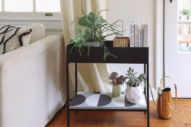 Diy table cheap for plants
